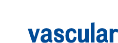 vascular